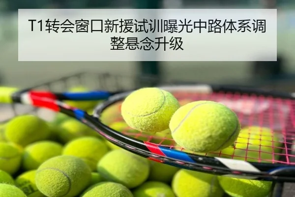 T1转会窗口新援试训曝光中路体系调整悬念升级